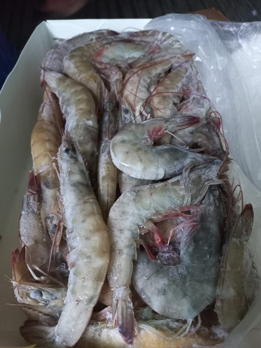 Mariscos frescos y congelados